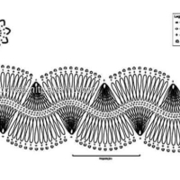 New Woman’s Crochet Patterns Part 9