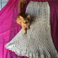 New Woman’s Crochet Patterns Part 55