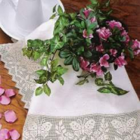 Lace Edging Crochet Patterns Part 11